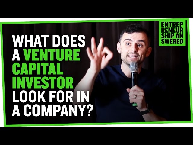 What Does a Venture Capital Investor Look for in a Company?