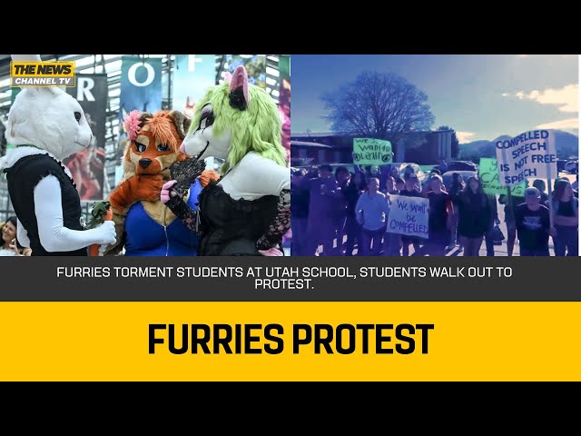 Furries Torment Students at Utah School, Students walk out to protest.