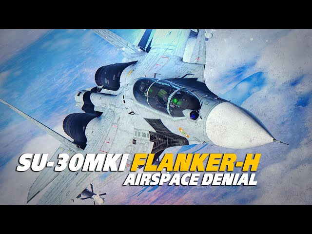 Su-30 MKI Flanker-H Air Space Denial | Digital Combat Simulator | DCS |