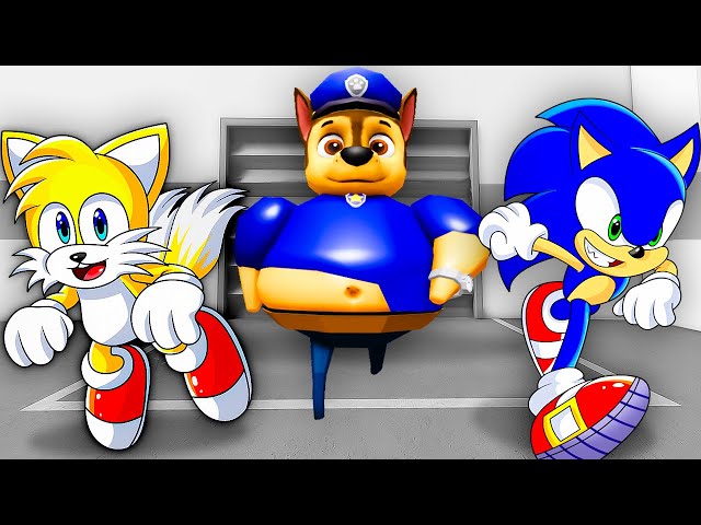 Sonic & Tails Escape PAW PATROL PRISON!