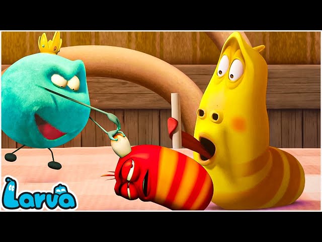 The Larva Girls Compilation🍟 Fun Clips from Animation LARVA 🥞Larva Official 🥟 Cartoon Comedy 2022