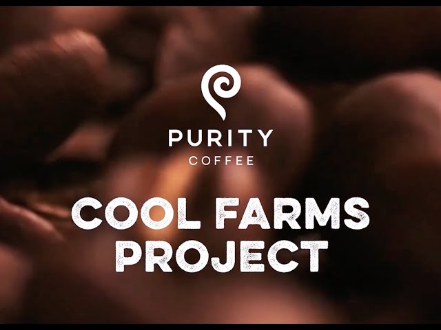 Unlocking Health: Join the Purity Coffee Movement for a Sustainable Future