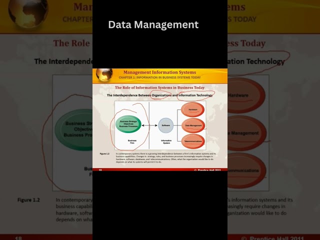 What is data management?
