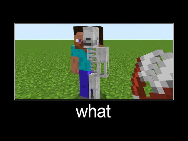 Minecraft wait what meme part 169 (Steve skeleton)
