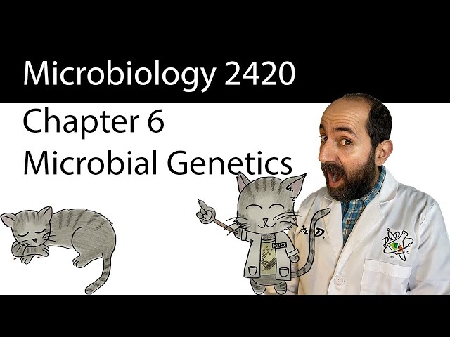 Chapter 6 - Microbial Genetics