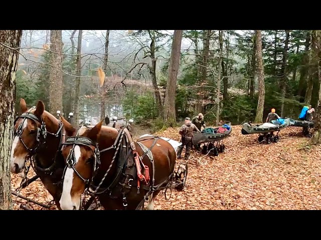 NO VEHICLES ALLOWED!! Draft Horses Pulling Canoes into Adirondack Park for a Week Long Hunting Trip!