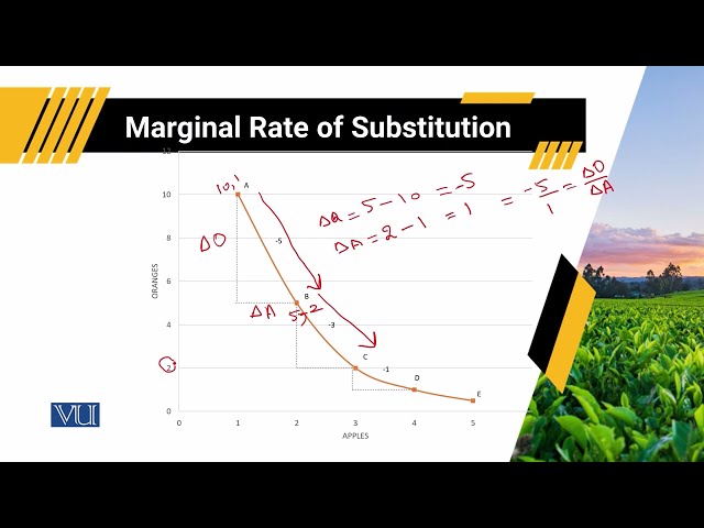 Marginal Rate of Substitution | Agricultural Economics | ECO608_Topic014