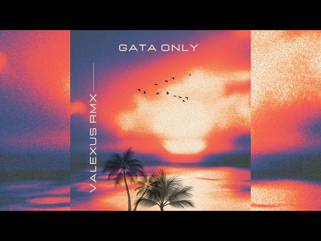Gata Only (Valexus Remix)