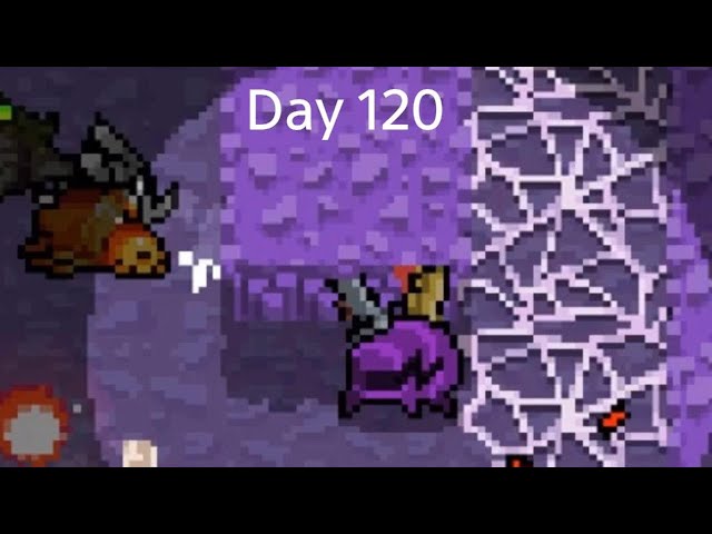 Playing nuclear throne until silksong comes out Day 120