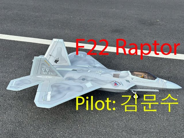 F22 Raptor (대전 전투 비행단)