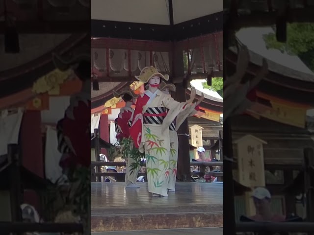 祇園甲部の舞妓さんの奉納舞踊 #京都 #舞妓