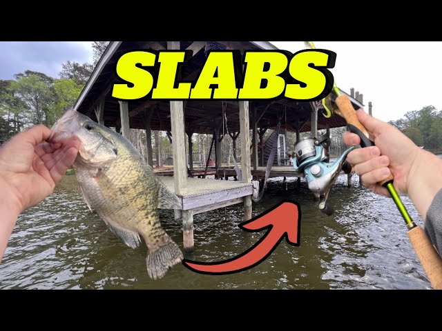 Crappie Fishing for SLABS Under Docks