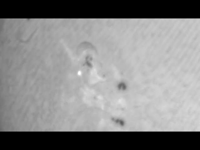 Video in H Alpha 20.04.22 There is a strange white Point on the Sun Surface