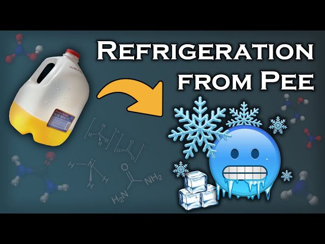 Producing refrigeration from my pee
