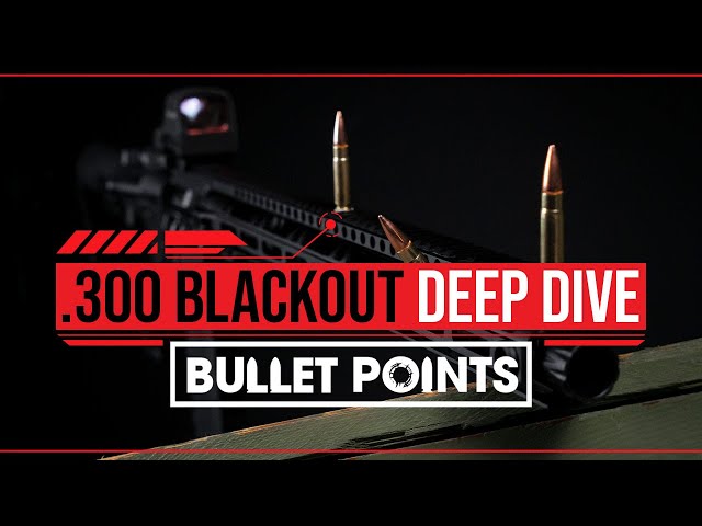 .300 Blackout - Everything You NEED To Know In 8 Points