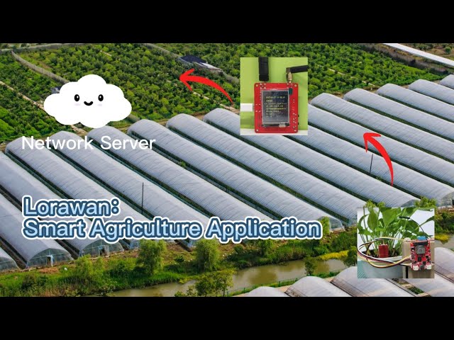 Unlocking a High-Tech Future: IoT LoRaWAN for Smart Agriculture