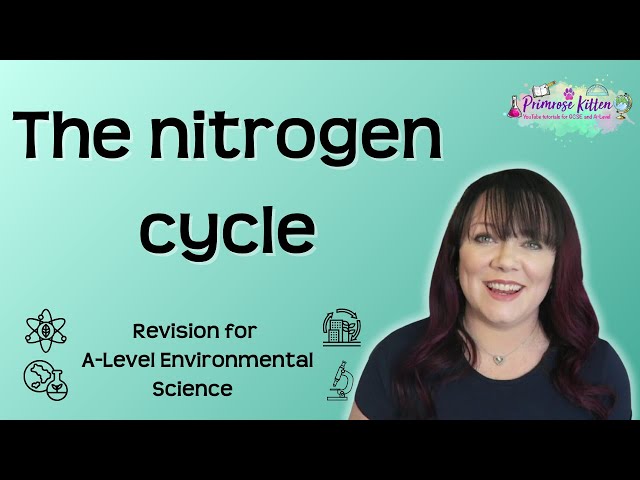 The nitrogen cycle | Revision for Environmental Science A-Level