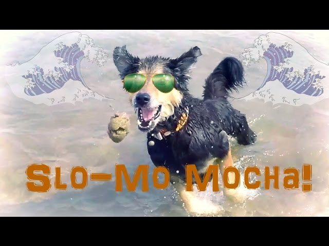 Slo-Mo Mocha!
