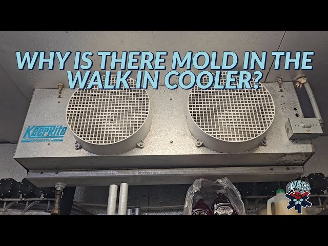 WHY IS THERE MOLD IN THE WALK IN COOLER?