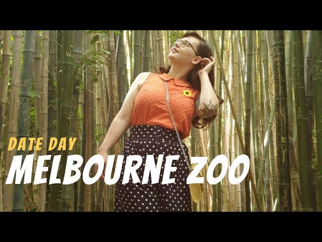A Day at Melbourne Zoo!