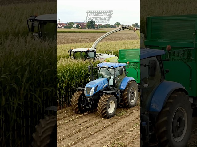 #newholland #claas #agrarvideosschwaben #landwirtschaft #agriculture