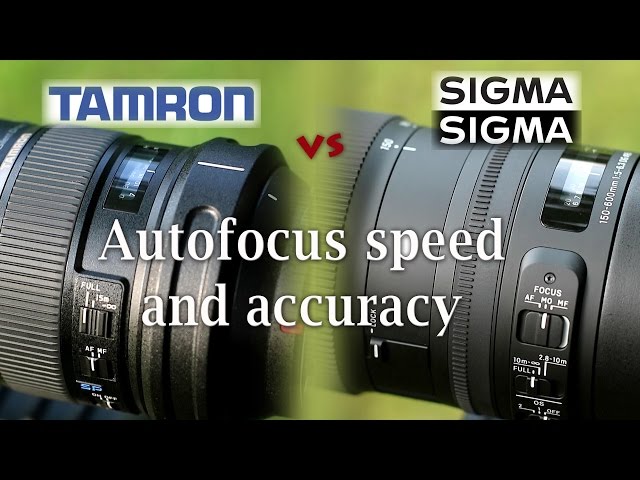 Tamron 150-600 VC vs Sigma 150-600 C:  Autofocus Performance