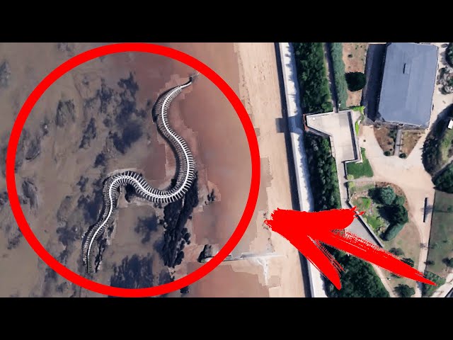 Titanoboa Monster Snake Skeleton? | Creepy Google Earth (jet and gliss)