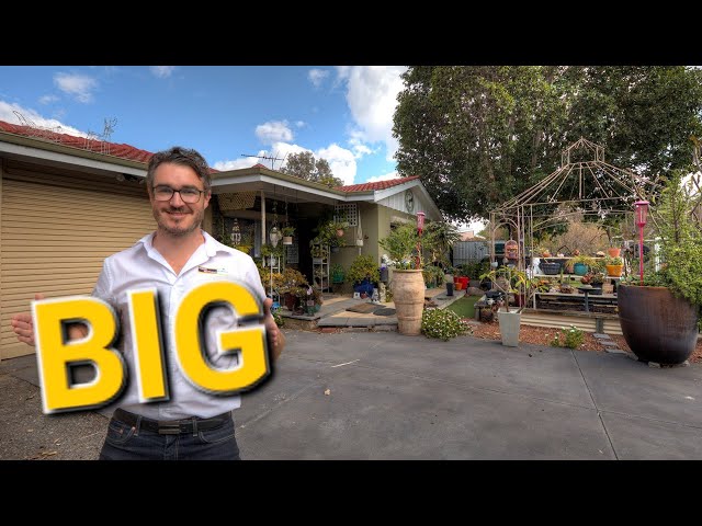 This shed has a great house!! 17 Connaught Street, Forrestfield- The Mitchell Brothers intro video