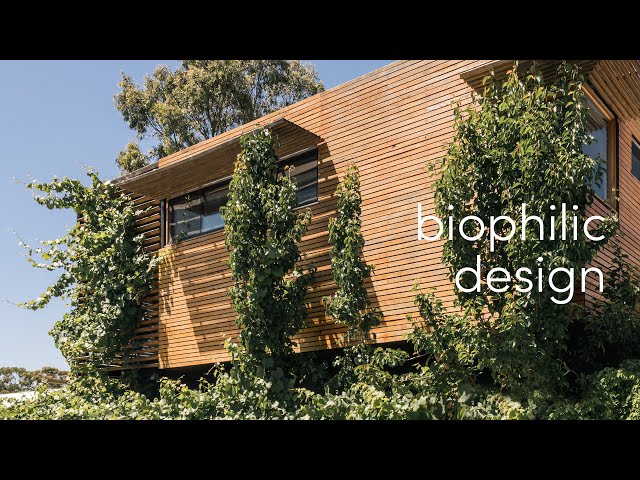 Biophilic Design - 7 Principles to Better Connect Your Home with Nature