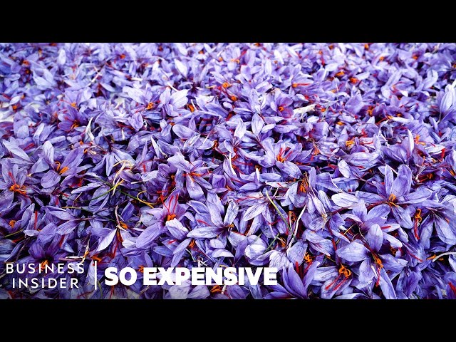 Why Real Saffron Is So Expensive | So Expensive