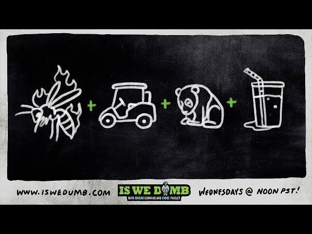 Is We Dumb? | Fire Wasps. Golf Cart. Panda. Semen Smoothie.