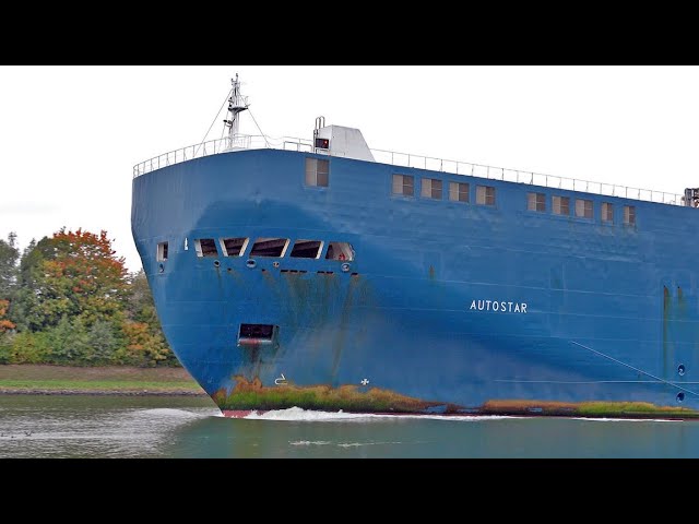 UP CLOSE LARGE SHIPS AT KIEL CANAL - 4K SHIPSPOTTING GERMANY OCTOBER 2022