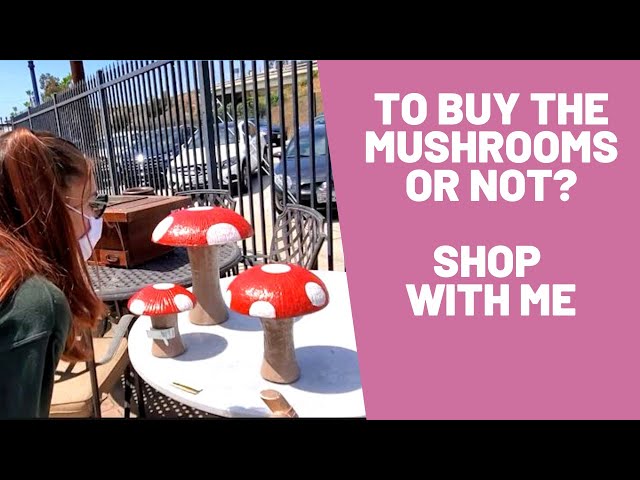 To Buy the Mushrooms or Not - Shop With Me