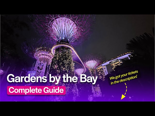 Gardens by the Bay Singapore - A Quick Guide