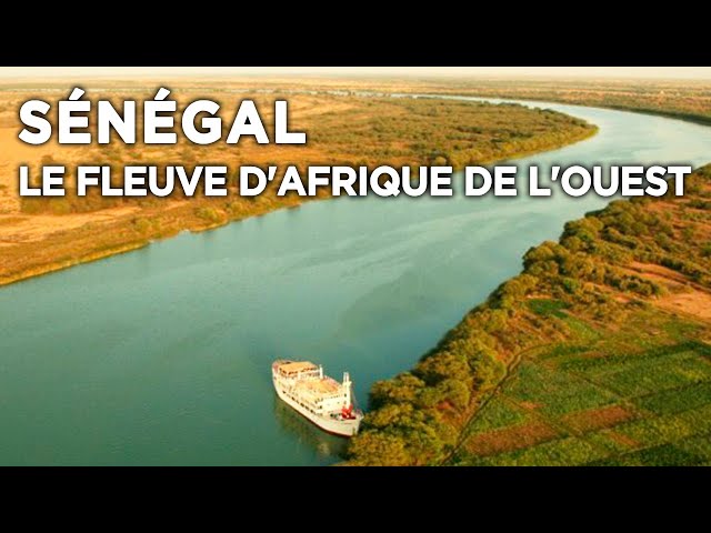 Sénégal, le fleuve d'Afrique de l'Ouest - Des Racines et des Ailes - Documentaire complet