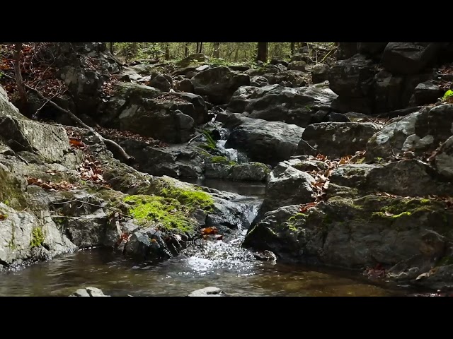 Soothing Forest Stream ASMR | Relaxing Piano Music for Deep Sleep and Rest  4k #asmr #relaxation