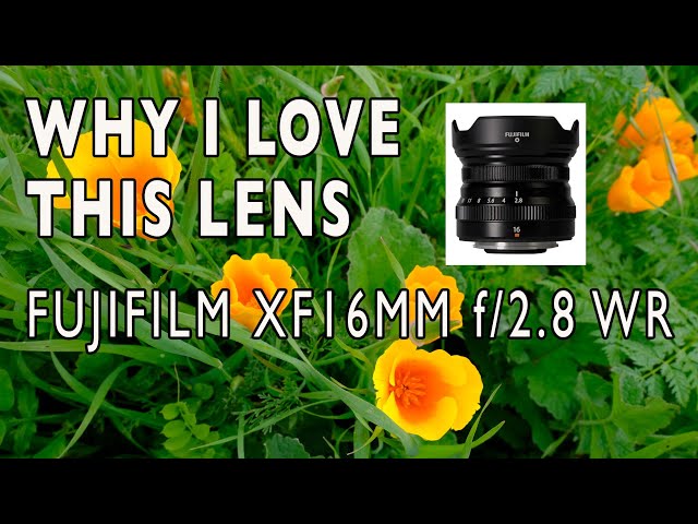 Why I Love This Lens - FUJIFILM XF16mm f/2.8 WR