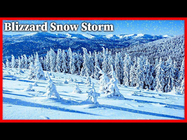 Blizzard Snow Storm Wind Sounds for Sleeping, Winter Storm Sounds