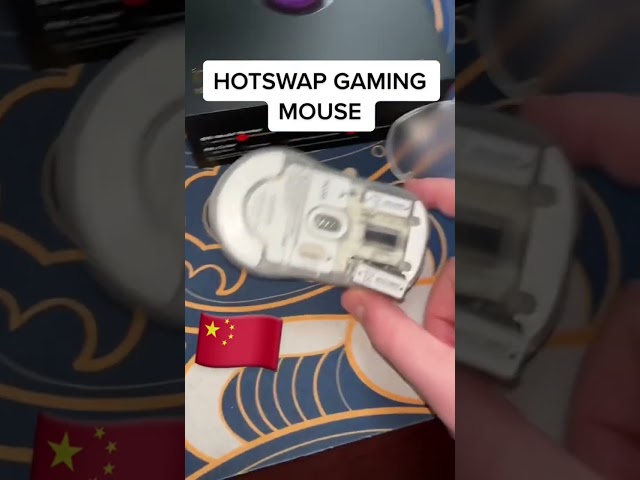 The HOTSWAP Gaming Mouse