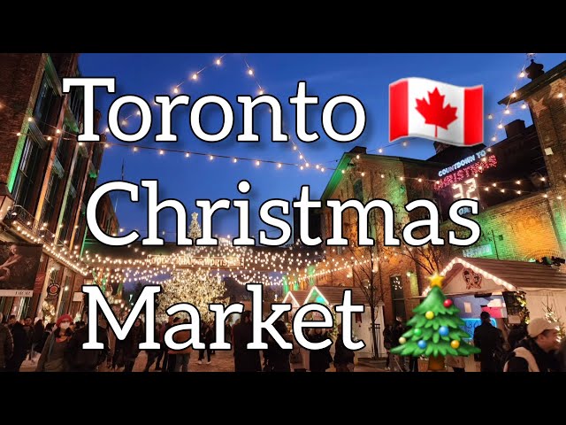 A Dior Christmas Tree at Toronto Christmas Market 🎄  | Things to do in Toronto | Canada 🇨🇦