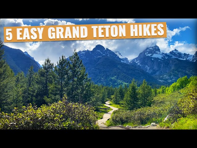 5 Best Hikes in Grand Teton National Park (Easy Hikes That Is!)