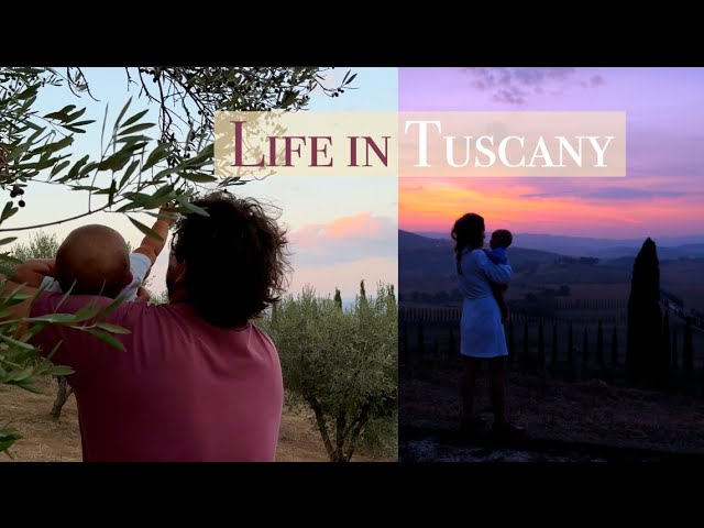 RENOVATING A RUIN: Olive Harvest, Life with a Baby in Italy, Cooking from our Garden
