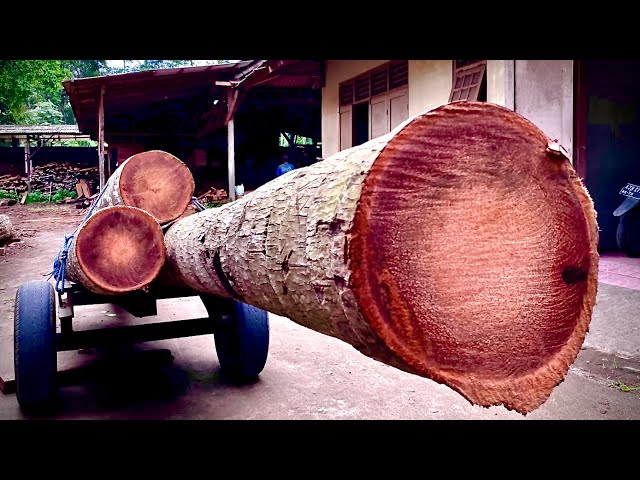 Misi penggergajian kayu kelapa panjang 10 meter bahan balok rumah cantik yang menampakan keindahan