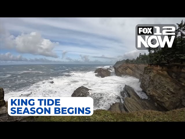 LIVE: King Tide season begins in the Pacific Northwest