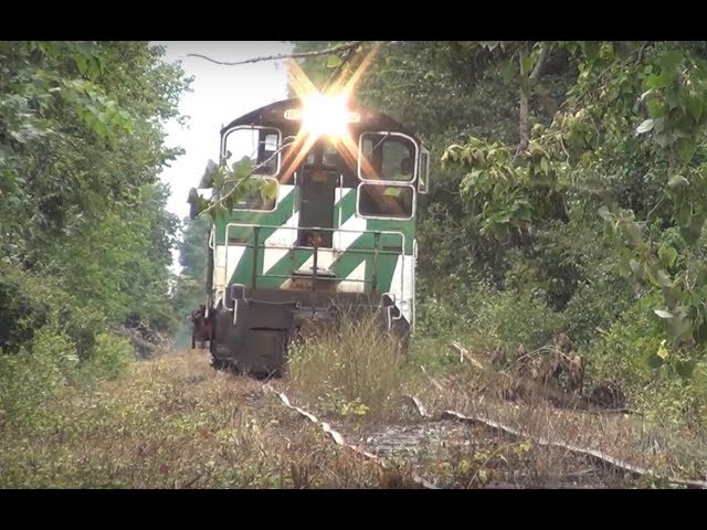 PREX 107 NW2 switcher and Husqvarna chainsaw Out of Service track Railroading ND&W Railroad
