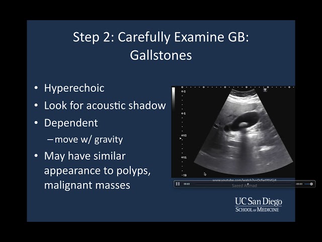 Introduction to Biliary Ultrasound