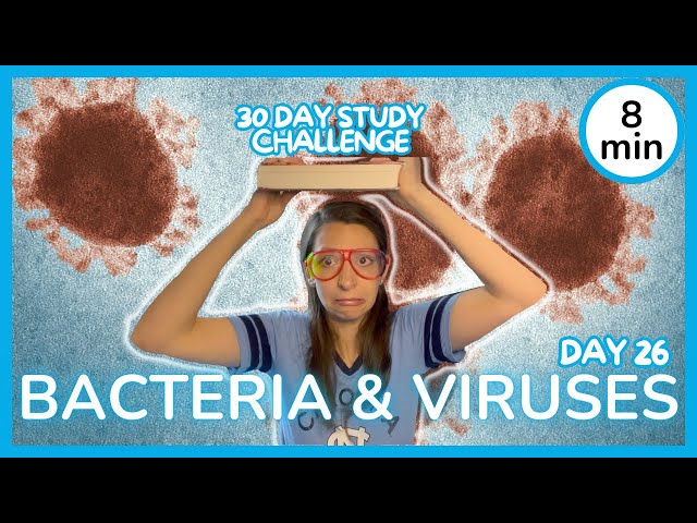 Day 26: Bacteria & Viruses - 30 Day Biology Study Challenge 2024