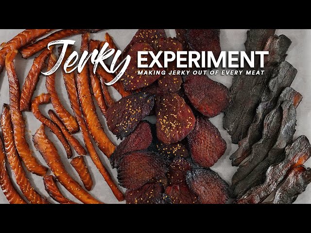 I made JERKY out of every MEAT I had |  Guga Foods