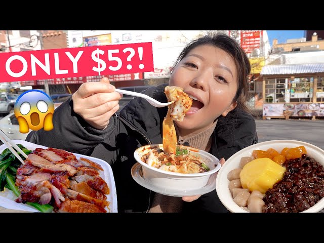 NEW YORK'S CHEAPEST FOODIE HEAVEN! $5 Flushing Food Tour