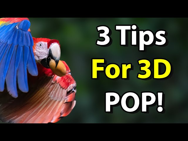 3 Secrets To Creating Wildlife Photos With Depth And Dimension (Bonus Post-Processing Tips!)